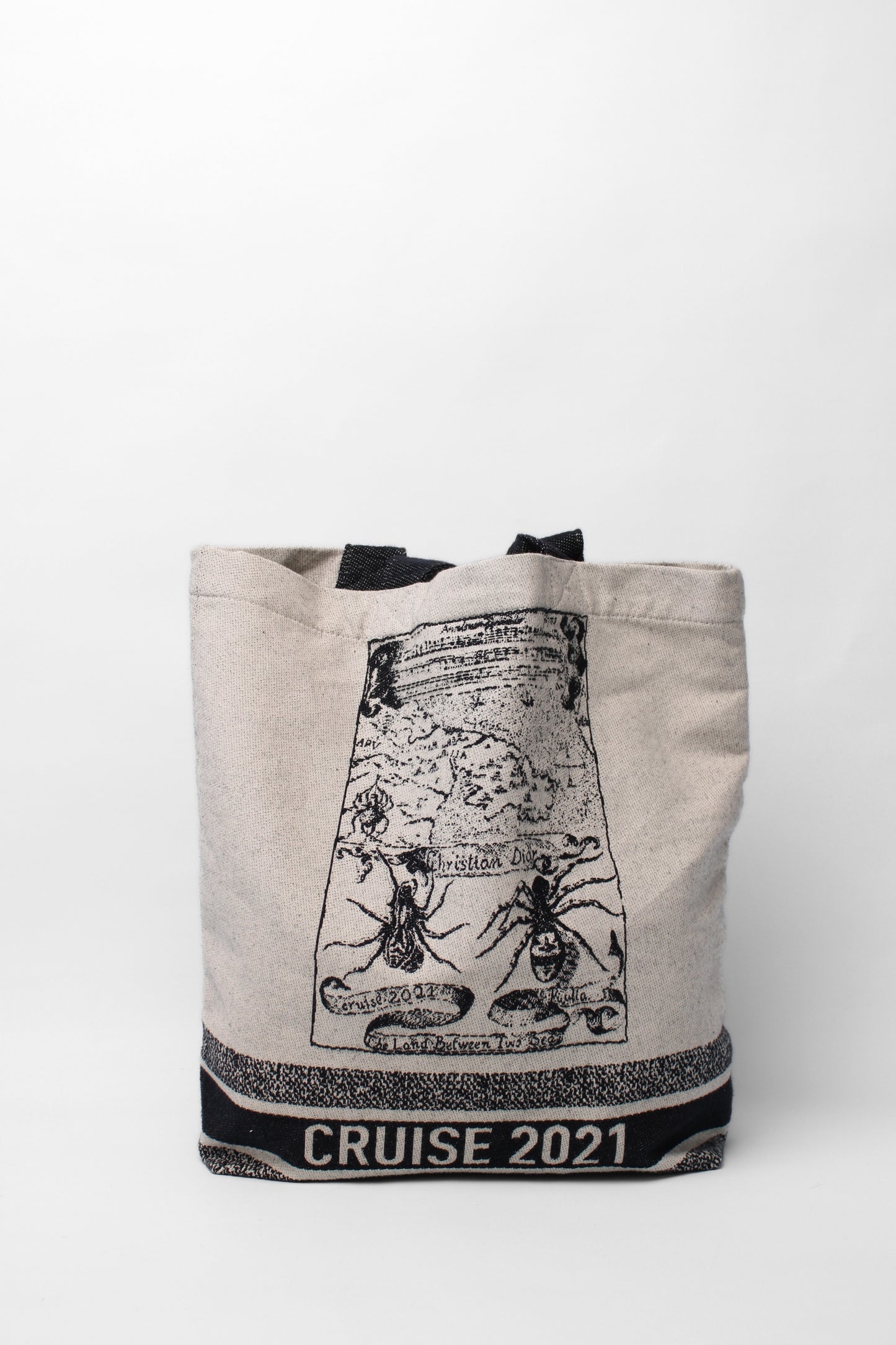 Christian Dior Printed Canvas Cruise 2021 Tote bag
