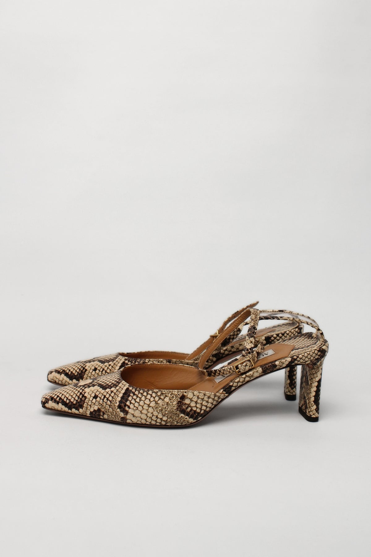 Aquazurra Reptile Print Shoe
