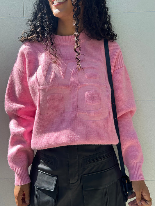 Alexander Wang Pink Logo Knit Size S