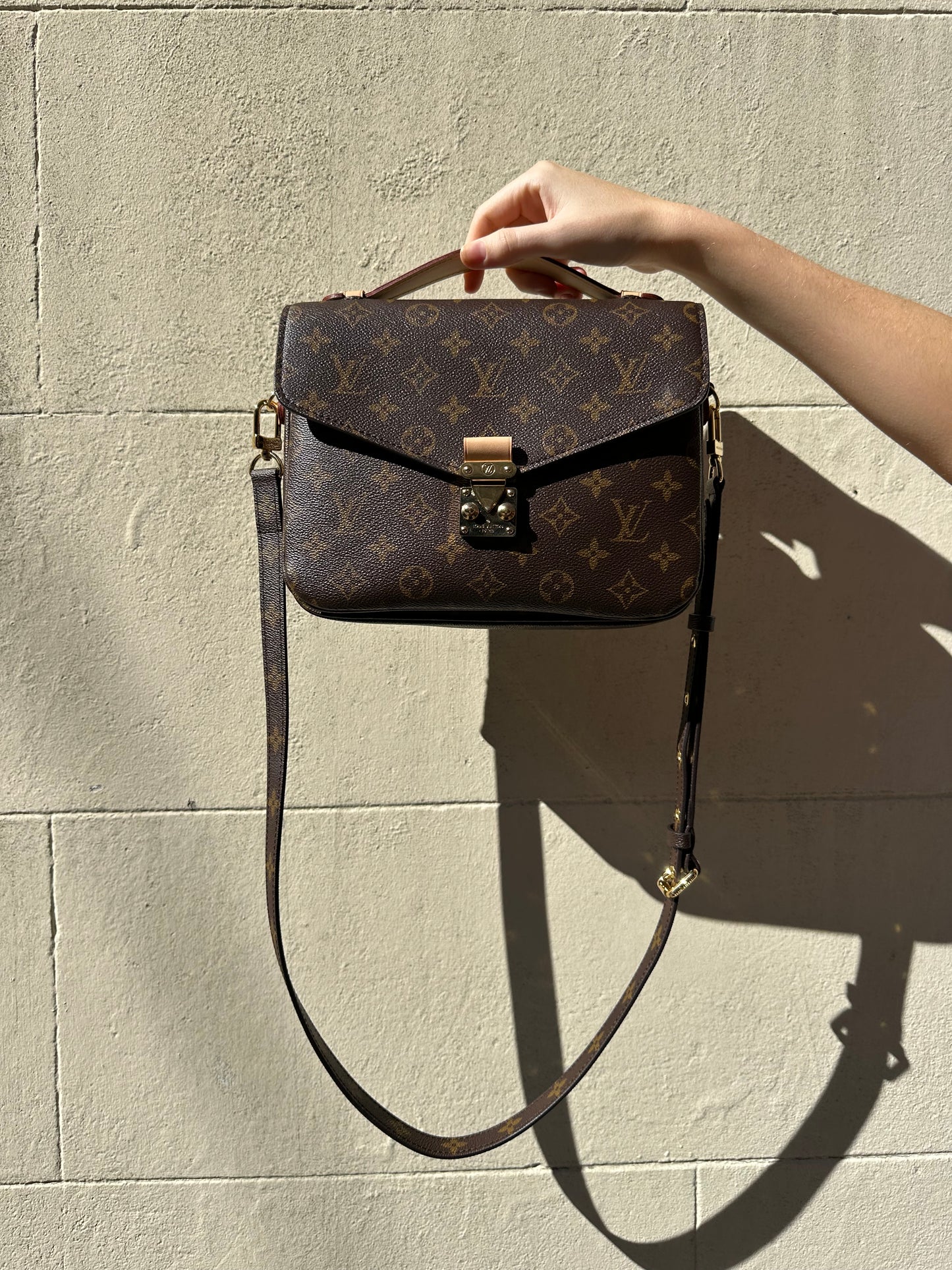Louis Vuitton Pochette Metis Monogram Bag