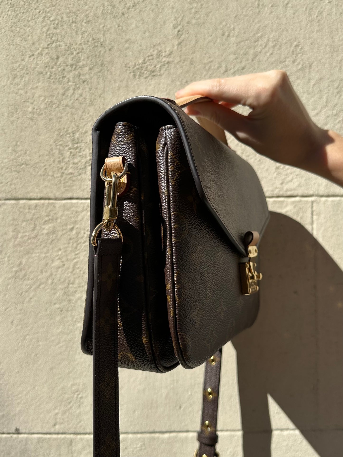 Louis Vuitton Pochette Metis Monogram Bag