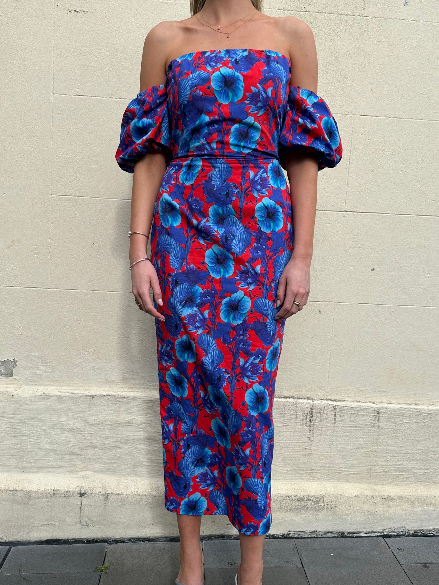 Borgo De Nor Blue Floral Dress Size 10